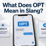 What Does OPT Mean In Slang